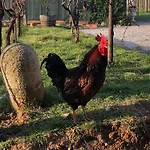 Agroturismo La Bosca Gavardo