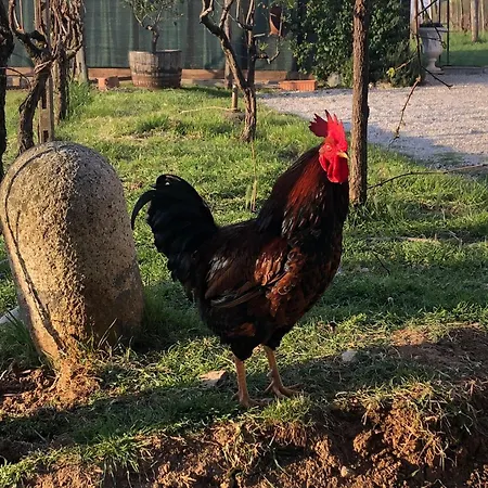 Κατάλυμα σε φάρμα La Bosca Gavardo
